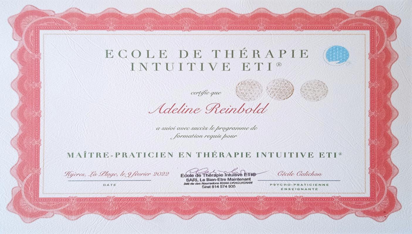 Diplome maitre praticien